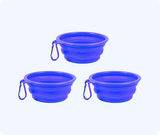 Collapsible Dog Bowl